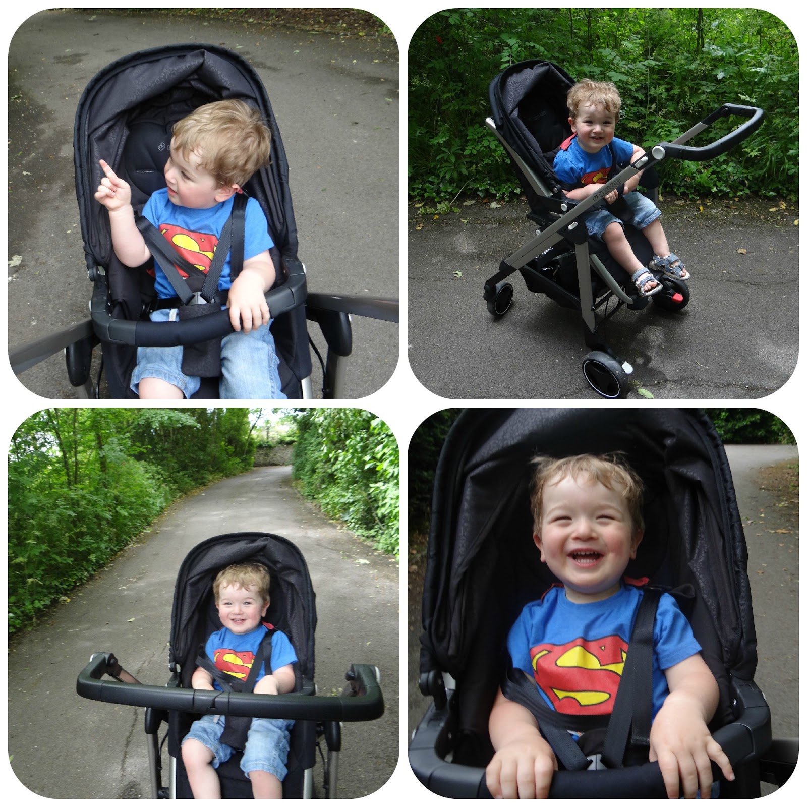 Maxi cosi loola shop pushchair